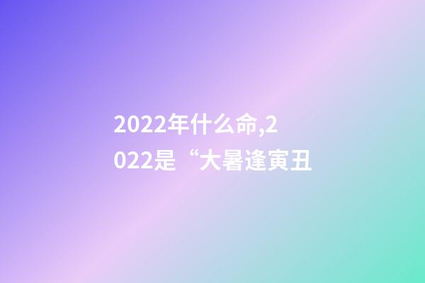 2022年什么命,2022是“大暑逢寅丑-第1張-觀點-玄機派