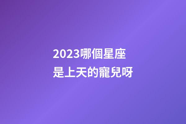 2023哪個星座是上天的寵兒呀