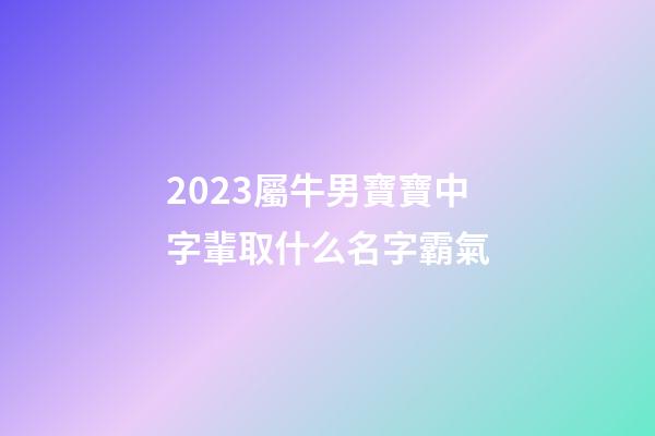 2023屬牛男寶寶中字輩取什么名字霸氣
