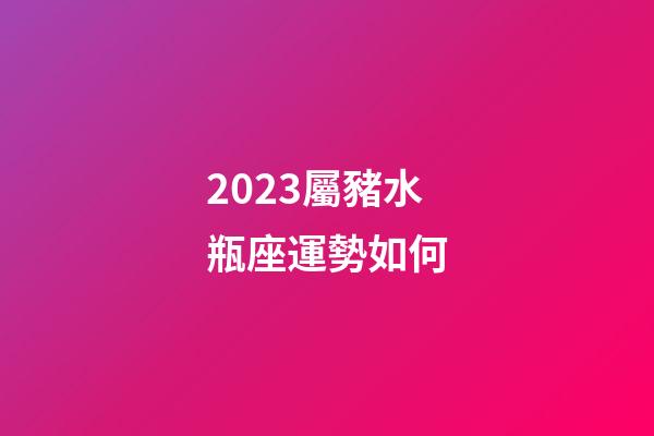 2023屬豬水瓶座運勢如何
