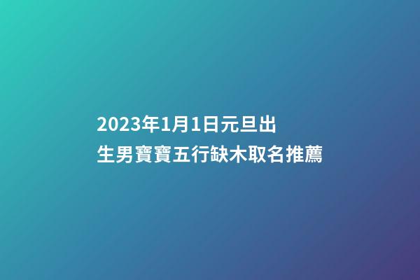 2023年1月1日元旦出生男寶寶五行缺木取名推薦