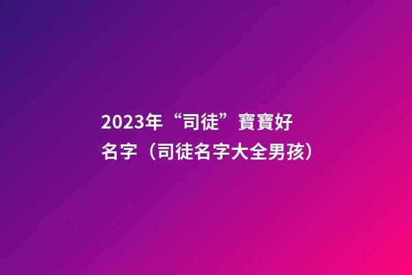 2023年“司徒”寶寶好名字（司徒名字大全男孩）