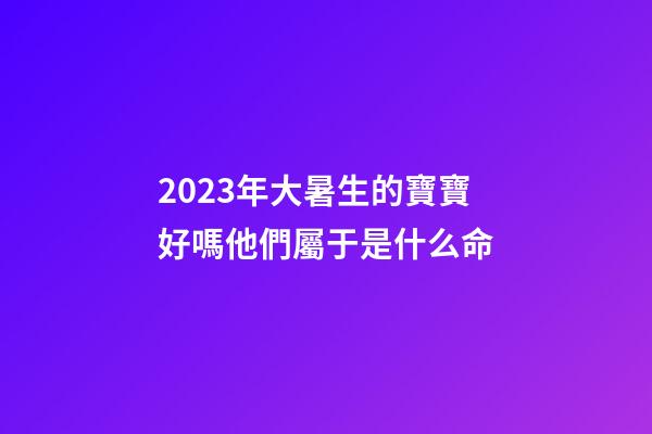 2023年大暑生的寶寶好嗎?他們屬于是什么命?