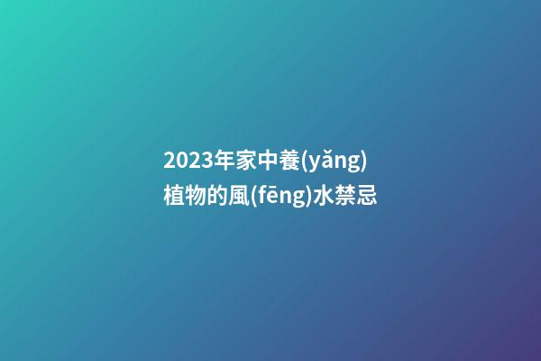 2023年家中養(yǎng)植物的風(fēng)水禁忌