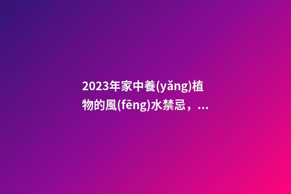 2023年家中養(yǎng)植物的風(fēng)水禁忌，最后一點(diǎn)很多人忽略了