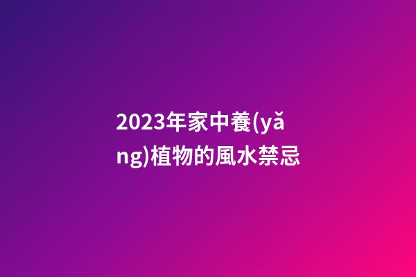 2023年家中養(yǎng)植物的風水禁忌