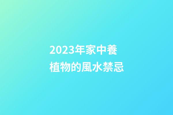 2023年家中養植物的風水禁忌