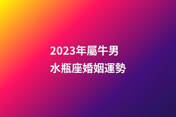 2023年屬牛男水瓶座婚姻運勢-第1張-星座運勢-玄機派
