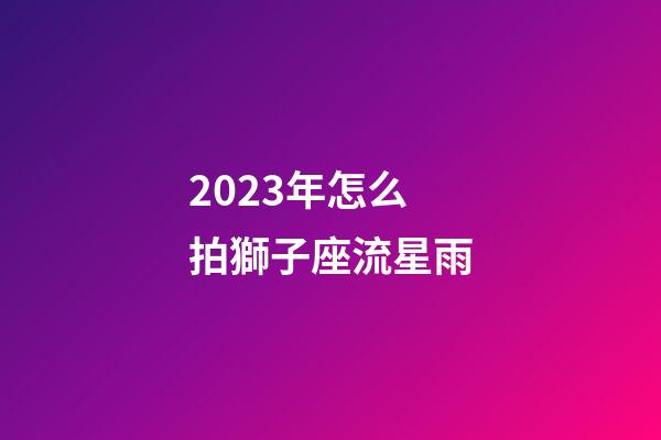 2023年怎么拍獅子座流星雨-第1張-星座運勢-玄機派