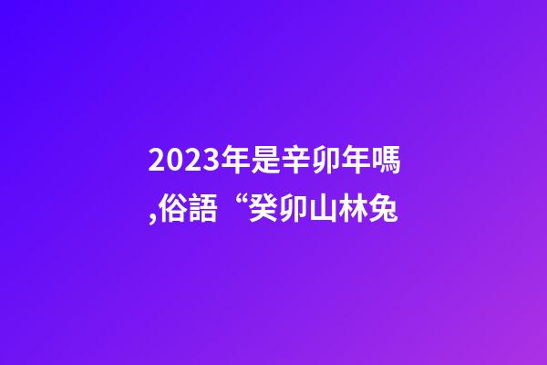 2023年是辛卯年嗎,俗語“癸卯山林兔-第1張-觀點-玄機派