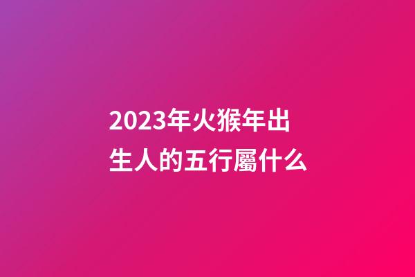 2023年火猴年出生人的五行屬什么