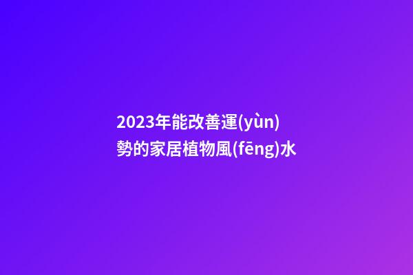 2023年能改善運(yùn)勢的家居植物風(fēng)水
