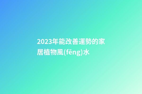 2023年能改善運勢的家居植物風(fēng)水