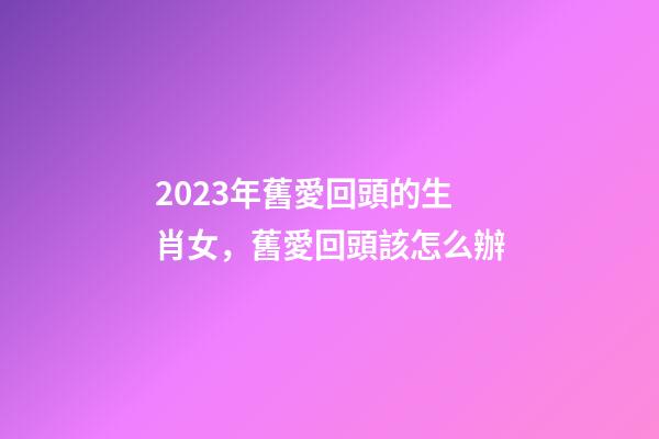 2023年舊愛回頭的生肖女，舊愛回頭該怎么辦