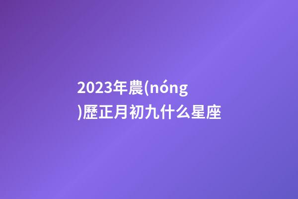 2023年農(nóng)歷正月初九什么星座-第1張-星座運勢-玄機派