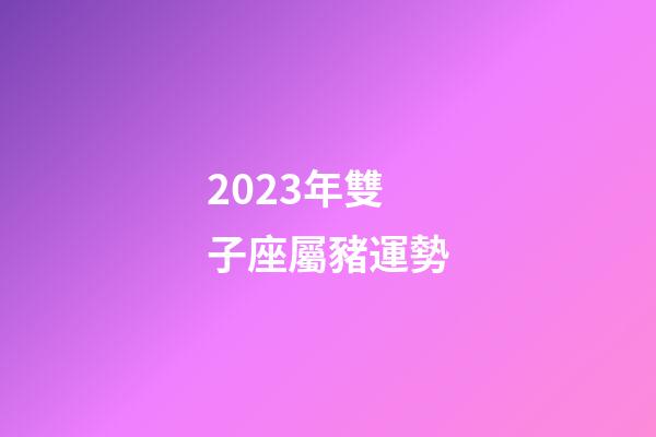 2023年雙子座屬豬運勢-第1張-星座運勢-玄機派