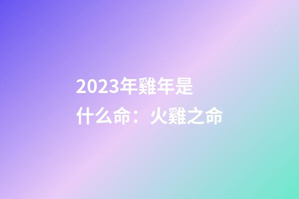 2023年雞年是什么命：火雞之命