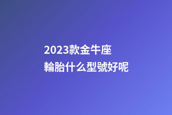 2023款金牛座輪胎什么型號好呢