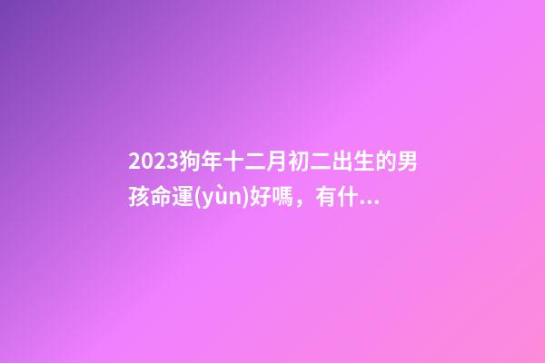 2023狗年十二月初二出生的男孩命運(yùn)好嗎，有什么注意事項(xiàng)