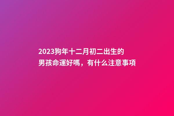 2023狗年十二月初二出生的男孩命運好嗎，有什么注意事項