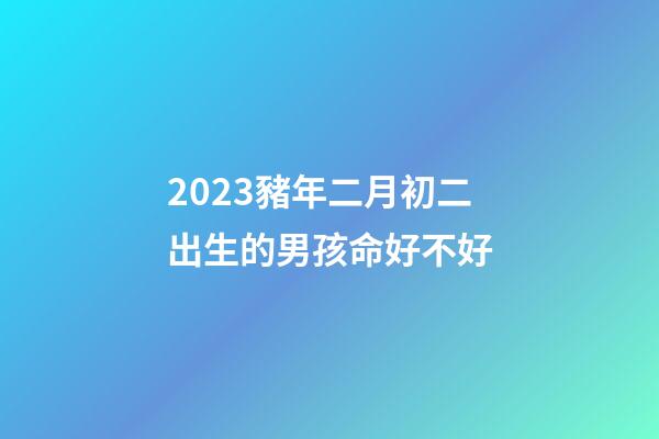 2023豬年二月初二出生的男孩命好不好