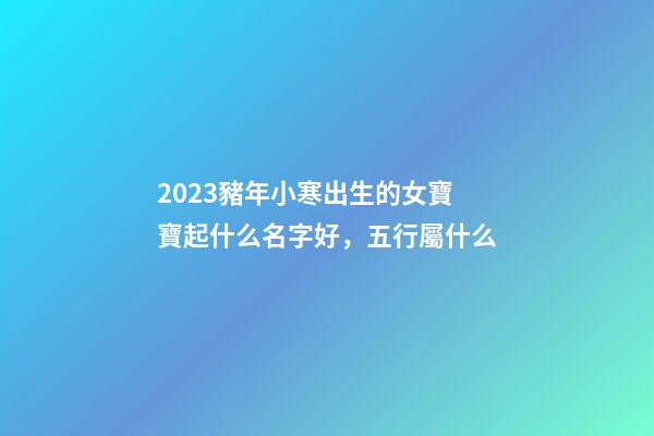 2023豬年小寒出生的女寶寶起什么名字好，五行屬什么