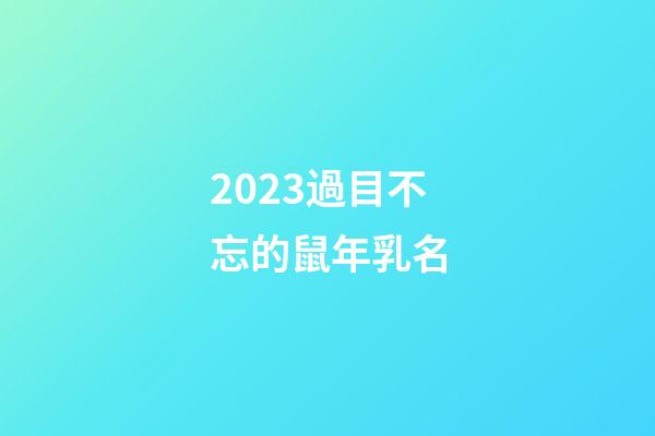 2023過目不忘的鼠年乳名