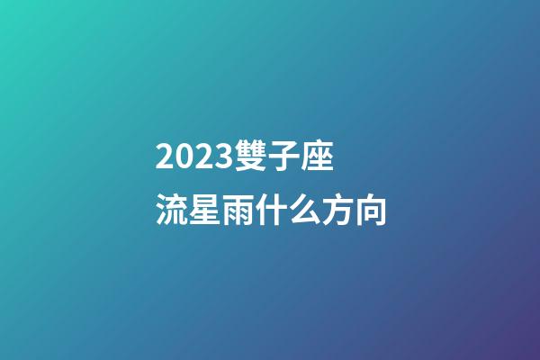 2023雙子座流星雨什么方向-第1張-星座運勢-玄機派