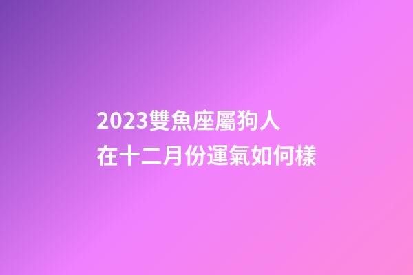 2023雙魚座屬狗人在十二月份運氣如何樣-第1張-星座運勢-玄機派