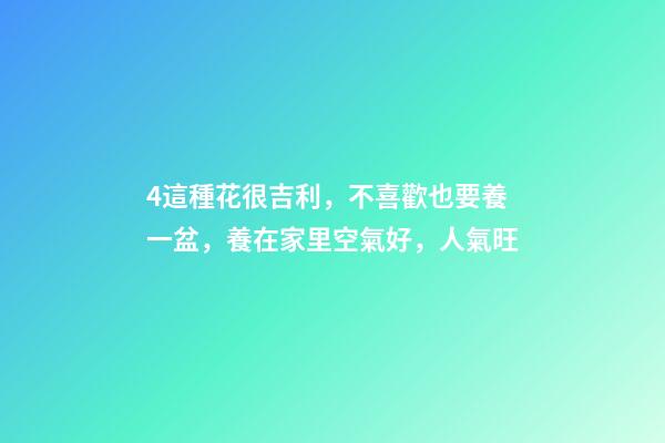 4這種花很吉利，不喜歡也要養一盆，養在家里空氣好，人氣旺