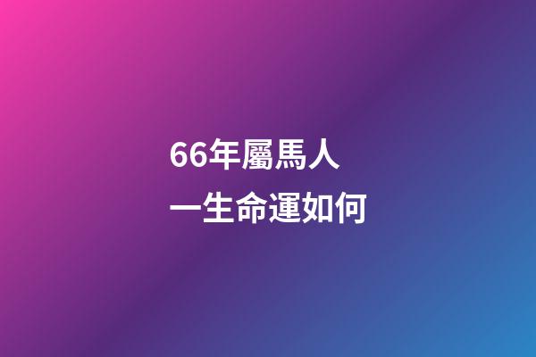 66年屬馬人一生命運如何(66歲大媽哭訴：我退休金5500塊，卻拿不出兩塊錢給孫子買烤腸)-第1張-觀點-玄機派