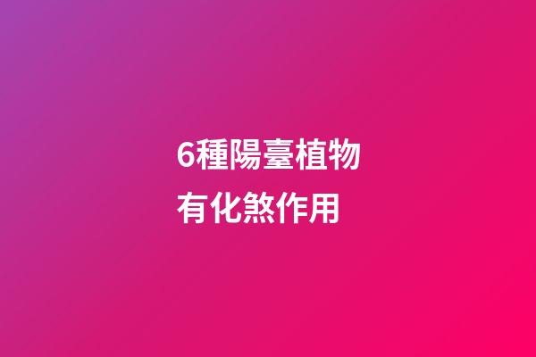 6種陽臺植物有化煞作用
