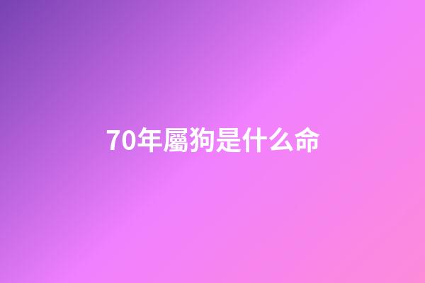 70年屬狗是什么命(70年屬狗女一生命運如何？)