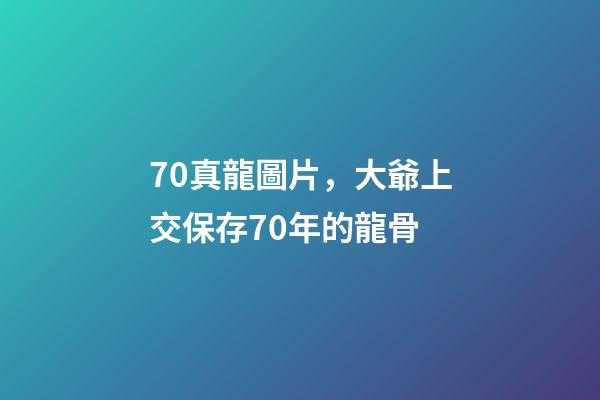 70真龍圖片，大爺上交保存70年的龍骨-第1張-觀點(diǎn)-玄機(jī)派