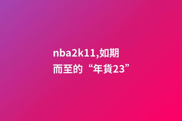 nba2k11,如期而至的“年貨23”-第1張-觀點-玄機派