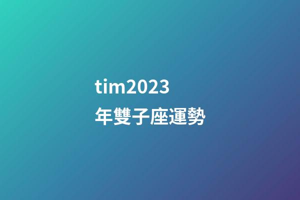 tim2023年雙子座運勢-第1張-星座運勢-玄機派
