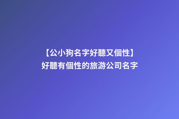 【公小狗名字好聽又個性】好聽有個性的旅游公司名字-第1張-公司起名-玄機派