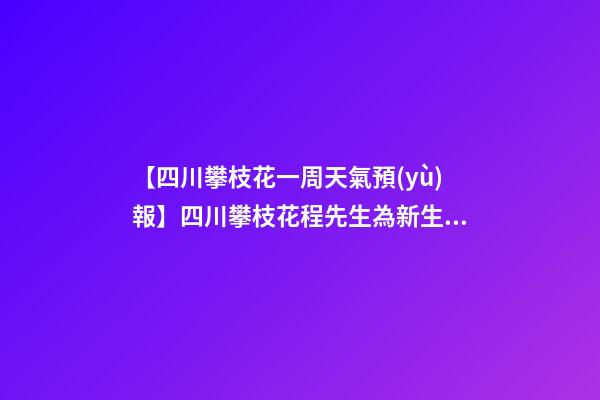 【四川攀枝花一周天氣預(yù)報】四川攀枝花程先生為新生狗寶寶取名時尚型套餐-第1張-公司起名-玄機派