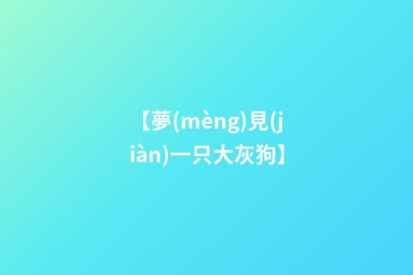【夢(mèng)見(jiàn)一只大灰狗】