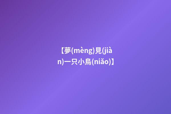 【夢(mèng)見(jiàn)一只小鳥(niǎo)】