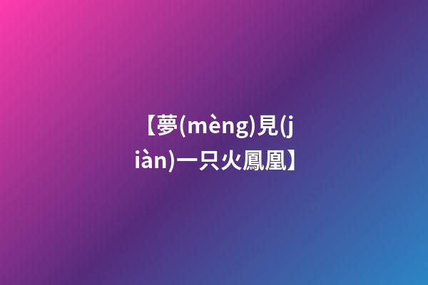 【夢(mèng)見(jiàn)一只火鳳凰】