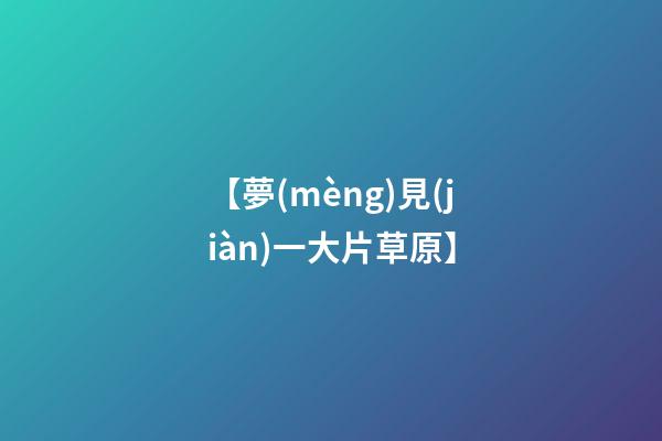 【夢(mèng)見(jiàn)一大片草原】