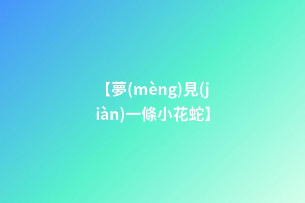 【夢(mèng)見(jiàn)一條小花蛇】