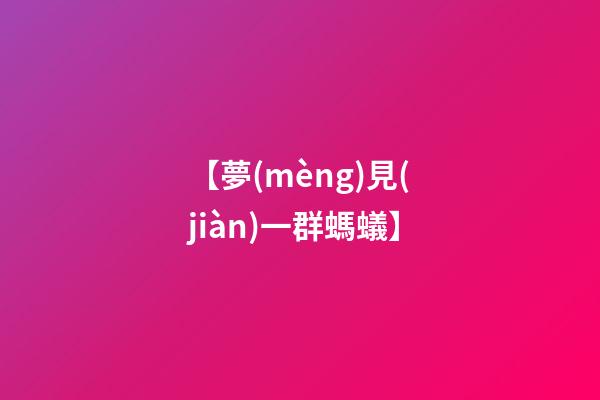 【夢(mèng)見(jiàn)一群螞蟻】