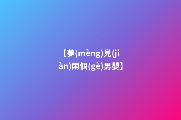 【夢(mèng)見(jiàn)兩個(gè)男嬰】