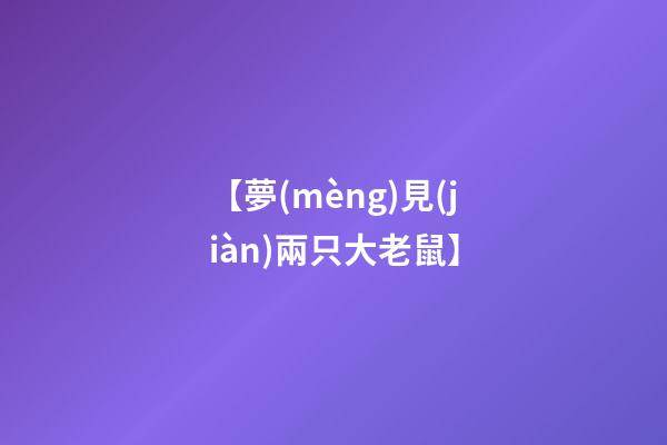 【夢(mèng)見(jiàn)兩只大老鼠】