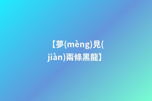 【夢(mèng)見(jiàn)兩條黑龍】