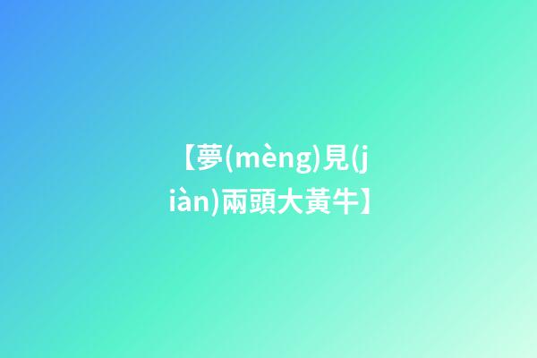 【夢(mèng)見(jiàn)兩頭大黃牛】