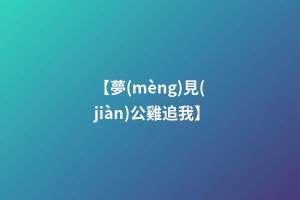 【夢(mèng)見(jiàn)公雞追我】