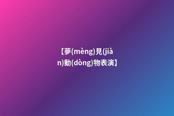 【夢(mèng)見(jiàn)動(dòng)物表演】